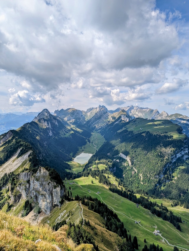AI Image